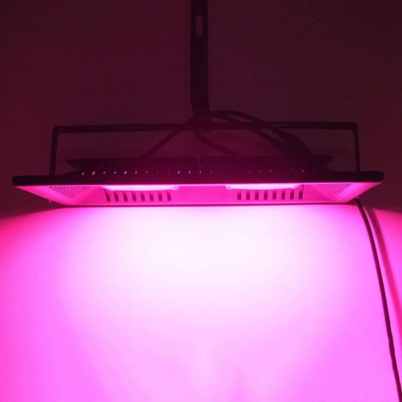 Ac220v 100w Full Spectrum Led Flood Grow Light Vodotěsné Ip65 Pro Vnitřní Naši Provozovnu