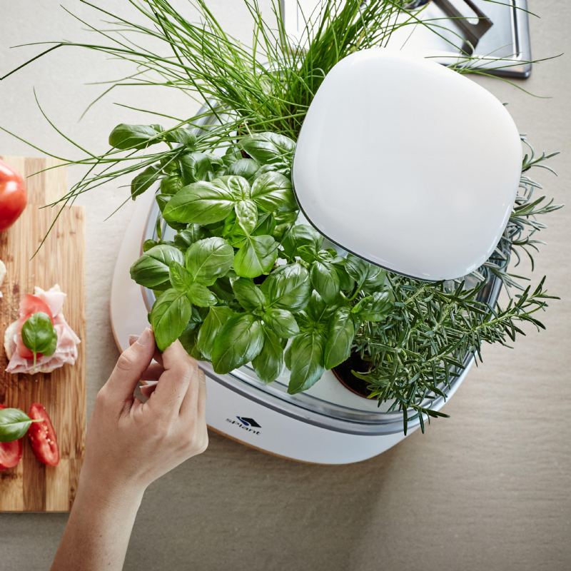Sada S Plant Smart Fresh Herb Garden Inteligentní Vnitřní Klíček Led Osvětlení Zahradní Květináč Se Čtyřmi Květinami S Dálkovým Ovládáním Pomocí Samozavlažovací Technologie