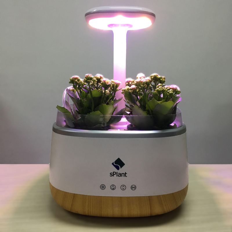 Sada S Plant Smart Fresh Herb Garden Inteligentní Vnitřní Klíček Led Osvětlení Zahradní Květináč Se Čtyřmi Květinami S Dálkovým Ovládáním Pomocí Samozavlažovací Technologie