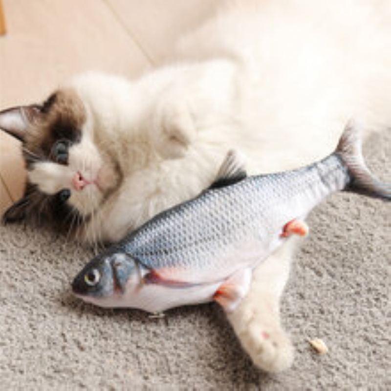 Jeteven Cat Clownfish Kapr S Catnip Nabíjecí Kabel Hračka Pro Štěňata Potřeby Pro Domácí Mazlíčky Pes Hraje