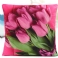 Červený Tulipán